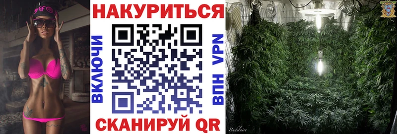 Канабис ГИДРОПОН  Купить где  Аргун 